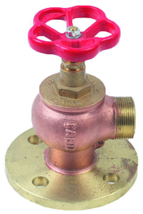 Globe Valve with Flench ( angle type )
